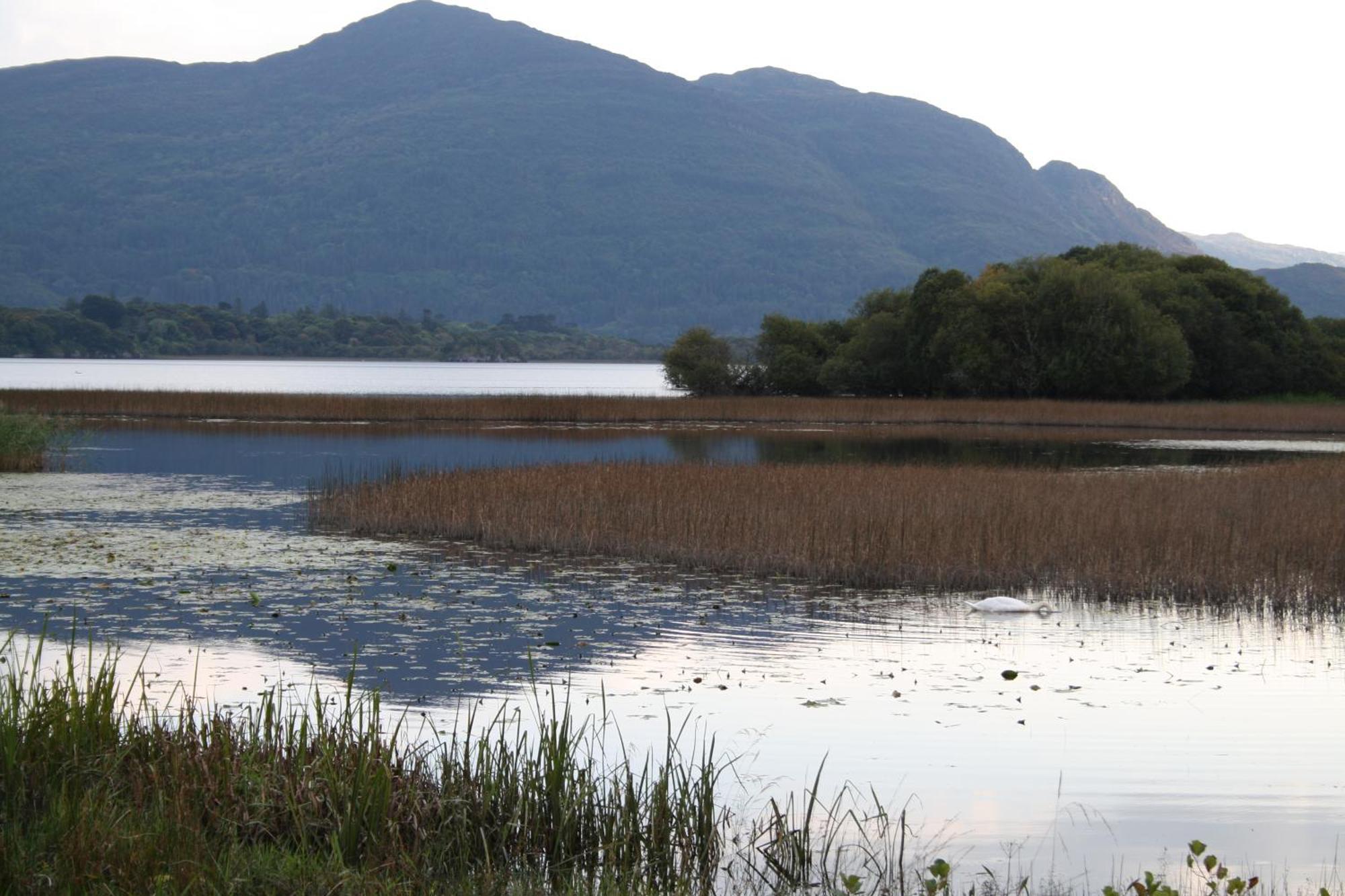 Innisfallen Holiday Homes By Trident Holiday Homes Killarney Phòng bức ảnh